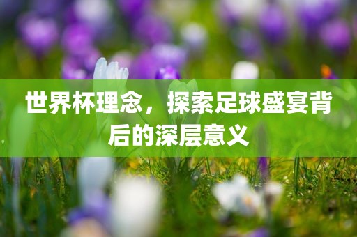 世界杯理念，探索足球盛宴背后的深层意义广西贺州市华昌新材料有限公司