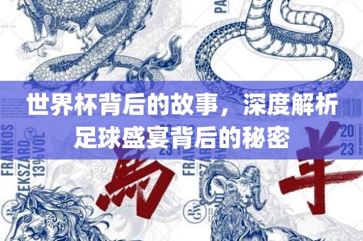 世界杯背后的故事，深度解析足球盛宴背后的秘密