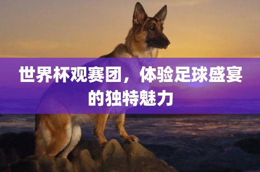 世界杯观赛团，体验足球盛宴的独特魅力