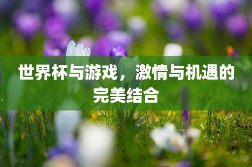 世界杯与游戏，激情与机遇的完美结合