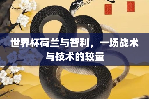 世界杯荷兰与智利，一场战术与技术的较量广西贺州市华昌新材料有限公司