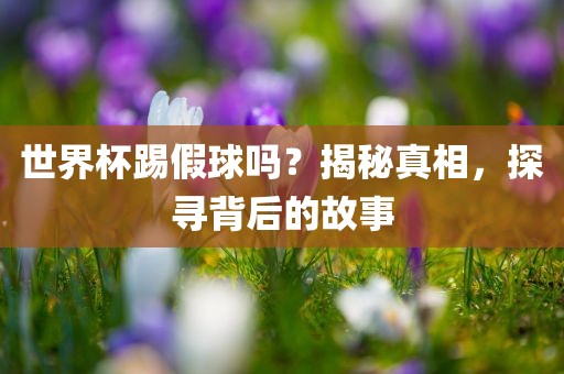 世界杯踢假球吗？揭秘真相，探寻背后的故事广西贺州市华昌新材料有限公司