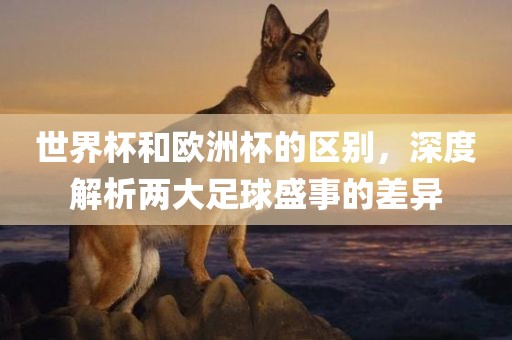 世界杯和欧洲杯的区别，深度解析两大足球盛事的差异广西贺州市华昌新材料有限公司