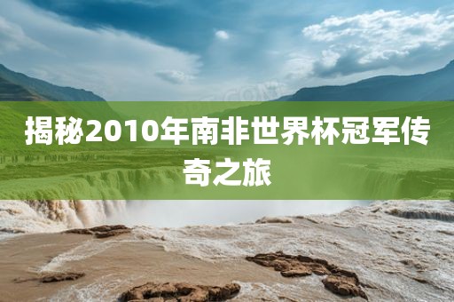 揭秘2010年南非世界杯冠军传奇之旅