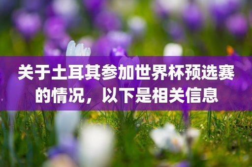 关于土耳其参加世界杯预选赛的情况，以下是相关信息广西贺州市华昌新材料有限公司