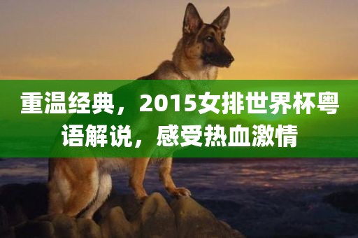 重温经典，2015女排世界杯粤语解说，感受热血激情