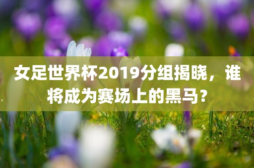 女足世界杯2019分组揭晓，谁将成为赛场上的黑马？广西贺州市华昌新材料有限公司