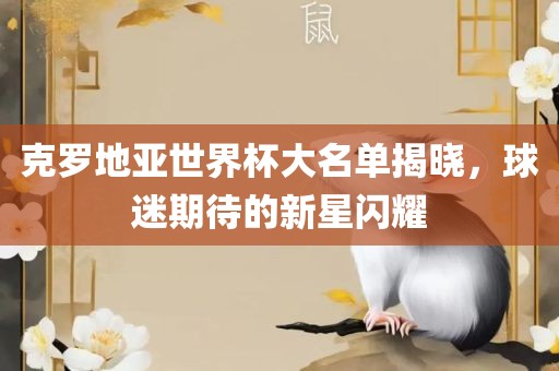 广西贺州市华昌新材料有限公司克罗地亚世界杯大名单揭晓，球迷期待的新星闪耀