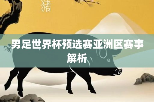 男足世界杯预选赛亚洲区赛事解析