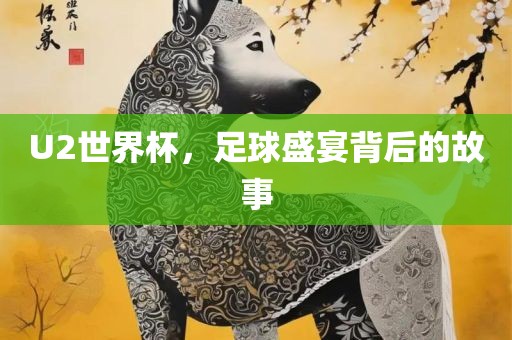 U2世界杯，足球盛宴背后的故事广西贺州市华昌新材料有限公司