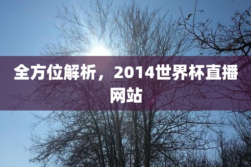 全方位解析，2014世界杯直播网站