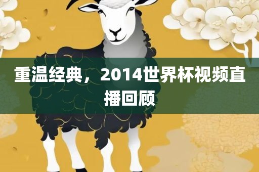 重温经典，2014世界杯视频直播回顾