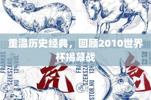 重温历史经典，回顾2010世界杯揭幕战广西贺州市华昌新材料有限公司