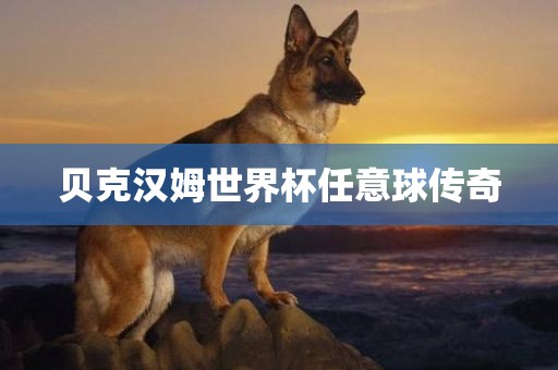 贝克汉姆世界杯任意球传奇广西贺州市华昌新材料有限公司