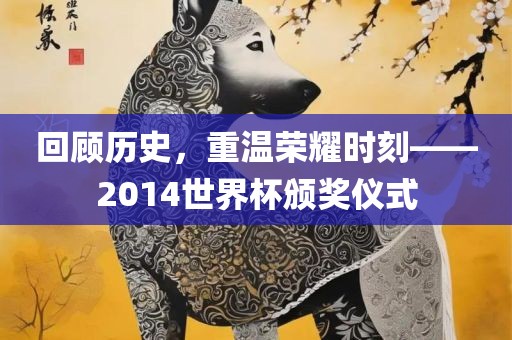 回顾历史，重温荣耀时刻——2014世界杯颁奖仪式广西贺州市华昌新材料有限公司