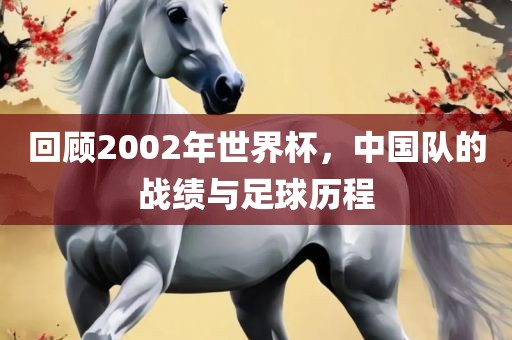回顾2002年世界杯，中国队的战绩与足球历程