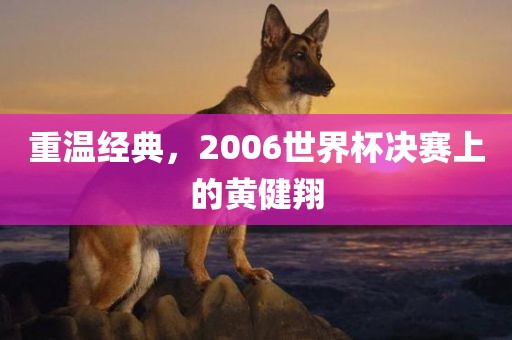 重温经典，2006世界杯决赛上的黄健翔广西贺州市华昌新材料有限公司