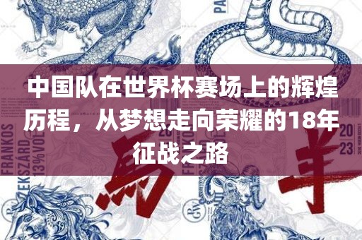 中国队在世界杯赛场上的辉煌历程，从梦想走向荣耀的18年征战之路广西贺州市华昌新材料有限公司