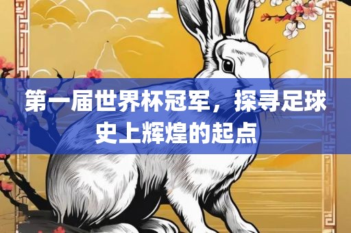 第一届世界杯冠军，探寻足球史上辉煌的起点广西贺州市华昌新材料有限公司