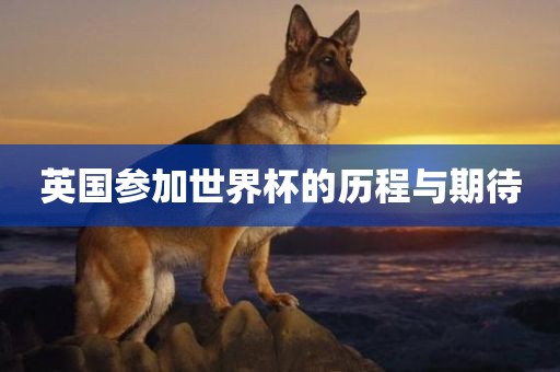 英国参加世界杯的历程与期待广西贺州市华昌新材料有限公司