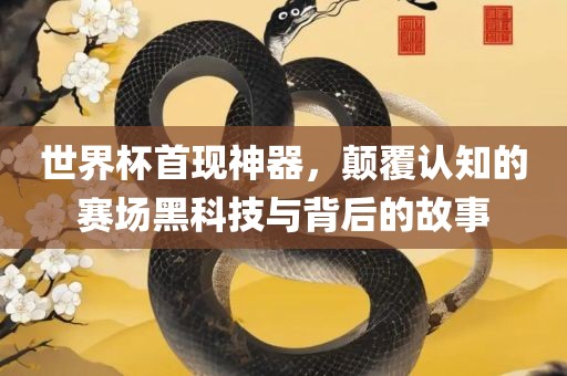 世界杯首现神器，颠覆认知的赛场黑科技与背后的故事广西贺州市华昌新材料有限公司