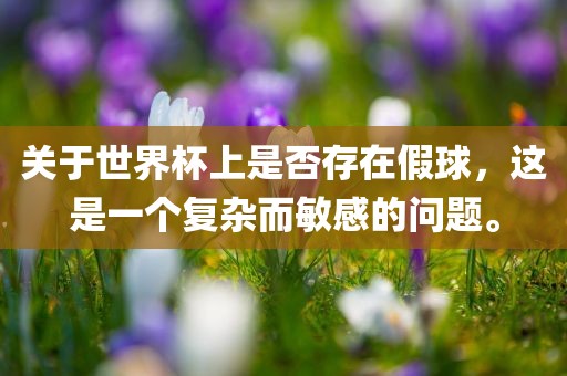 关于世界杯上是否存在假球，这是一个复杂而敏感的问题。广西贺州市华昌新材料有限公司