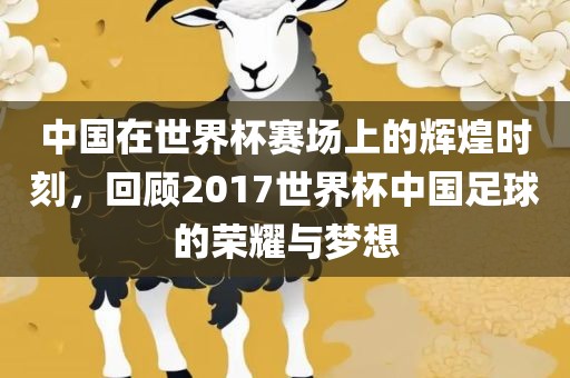 中国在世界杯赛场上的辉煌时刻，回顾2017世界杯中国足球的荣耀与梦想广西贺州市华昌新材料有限公司