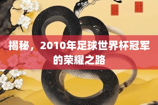 揭秘，2010年足球世界杯冠军的荣耀之路