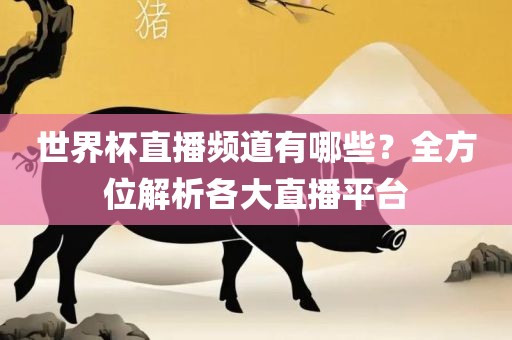 世界杯直播频道有哪些？全方位解析各大直播平台