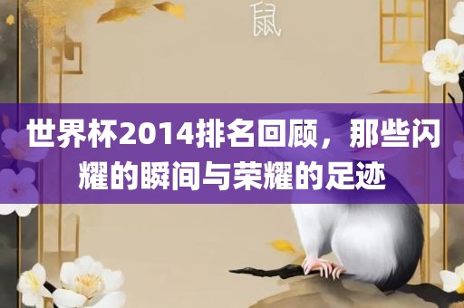 世界杯2014排名回顾，那些闪耀的瞬间与荣耀的足迹广西贺州市华昌新材料有限公司
