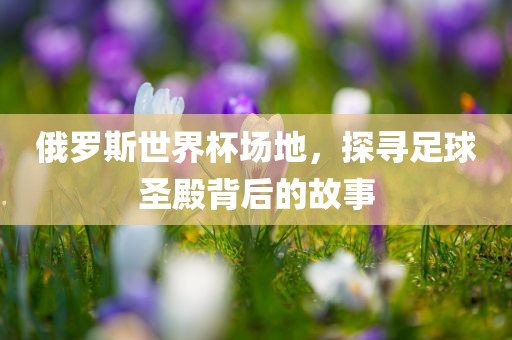 俄罗斯世界杯场地，探寻足球圣殿背后的故事广西贺州市华昌新材料有限公司
