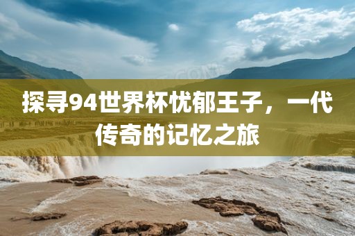 探寻94世界杯忧郁王子，一代传奇的记忆之旅广西贺州市华昌新材料有限公司