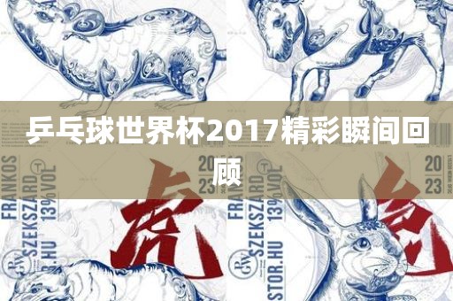 乒乓球世界杯2017精彩瞬间回顾广西贺州市华昌新材料有限公司