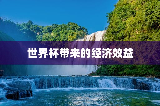 世界杯带来的经济效益广西贺州市华昌新材料有限公司