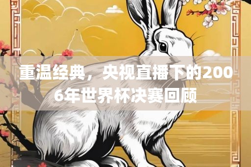 重温经典，央视直播下的2006年世界杯决赛回顾广西贺州市华昌新材料有限公司