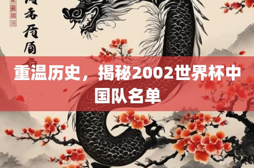 重温历史，揭秘2002世界杯中国队名单