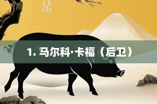 1. 马尔科·卡福（后卫）广西贺州市华昌新材料有限公司