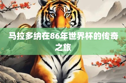 马拉多纳在86年世界杯广西贺州市华昌新材料有限公司的传奇之旅