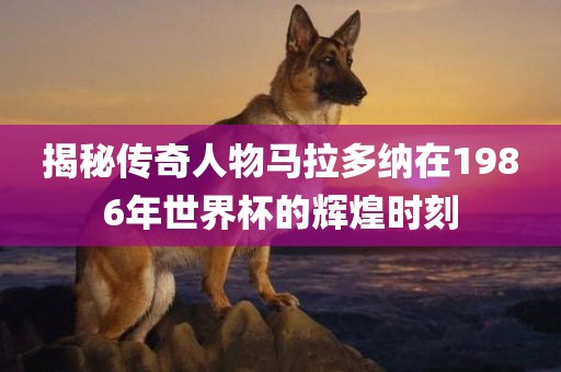 揭秘传奇人物马拉多纳在1986年世界杯的辉煌时刻广西贺州市华昌新材料有限公司