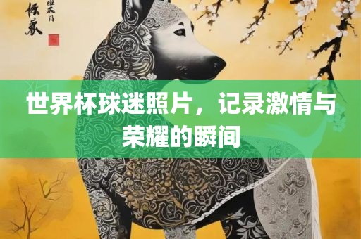 世界杯球迷照片，记录激情与荣耀的瞬间