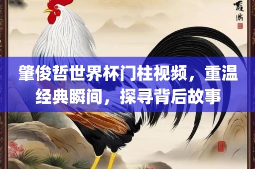 肇俊哲世界杯门柱视频，重温经典瞬间，探寻背后广西贺州市华昌新材料有限公司故事