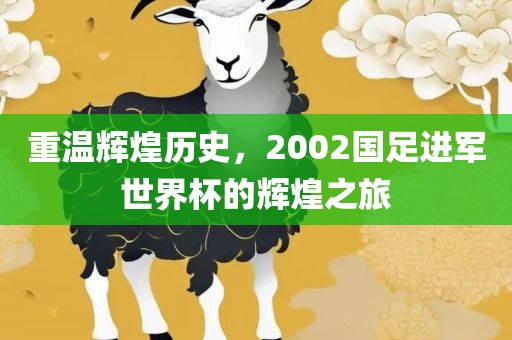 重温辉煌历史，2002国足进军世界杯的辉煌之旅广西贺州市华昌新材料有限公司