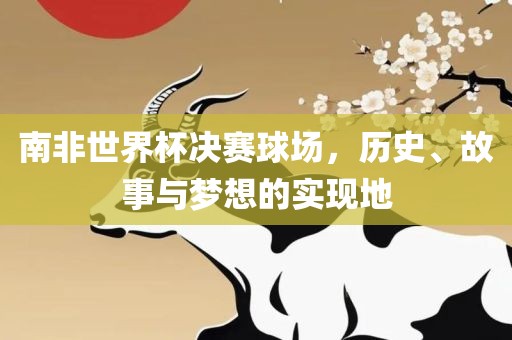 南非世界杯决赛球场，历史、故事与梦想的实现地广西贺州市华昌新材料有限公司