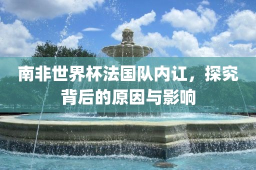 南非世界杯法国队内讧，探究背后的原因与影响
