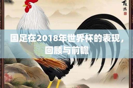 国足在2018年世界杯的表现，回顾与前瞻广西贺州市华昌新材料有限公司