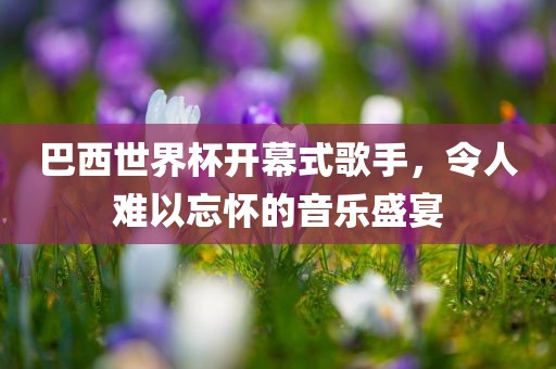 巴西世界杯开幕式歌手，令人难以忘怀的音乐盛宴广西贺州市华昌新材料有限公司