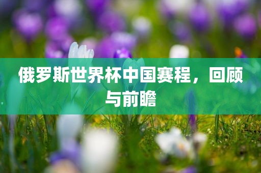 俄罗斯世界杯中国赛程，回顾与前瞻广西贺州市华昌新材料有限公司