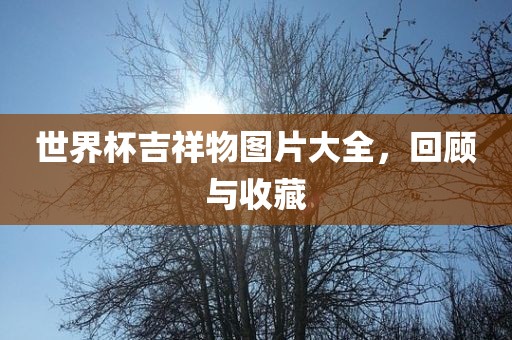 世界杯吉祥物图片大全，回顾与收藏