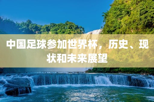 中国足球参加世界杯，历史、现状和未来展望广西贺州市华昌新材料有限公司