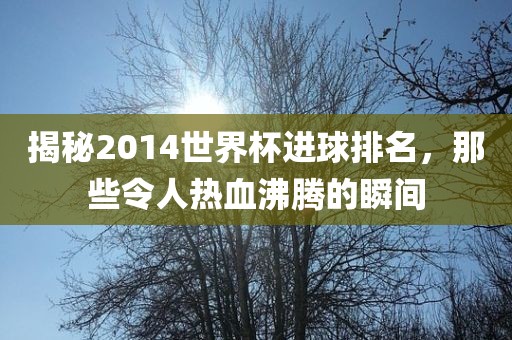 揭秘2014世界杯进球排名，那些令人热血沸腾的瞬间广西贺州市华昌新材料有限公司